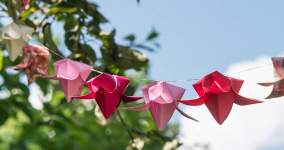 Origami Kurs: Falte Papiertulpen | Erwachsene | Online