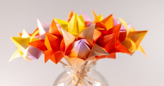 Origami Kurs: Falte Papiertulpen | Erwachsene | Online