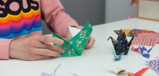 Origami Kurs: Falte Papierkraniche | Erwachsene | Online
