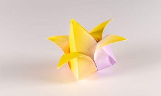 Origami Kurs: Falte Papiertulpen | Erwachsene | Online Origami Kurs: Falte Papiertulpen | Erwachsene | Online
