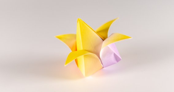 Origami Kurs: Falte Papiertulpen | Erwachsene | Online