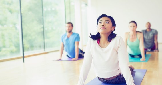Full body Flexibility & Mobility | Erwachsene | Bilk
