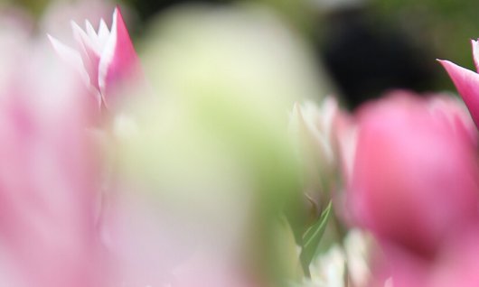 Einsteiger Fotokurs | 12  - 65 Jahre | Düsseldorf