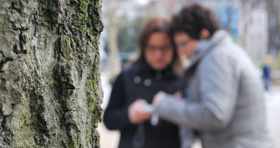 Aufbaufotokurs | 12  - 65 Jahre | Düsseldorf