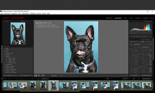Einzelkurs: Bildbearbeitung | Erwachsene | Düsseldorf