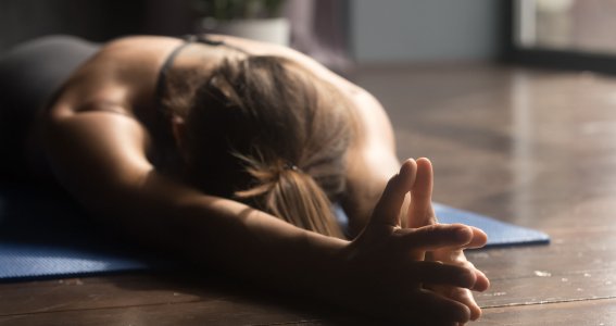 Vinyasa Yoga Basic | Erwachsene | Online
