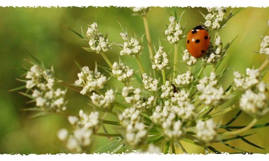Die "Jungen Wilden" stellen sich vor! | 12  - 99 Jahre | Sulzemoos