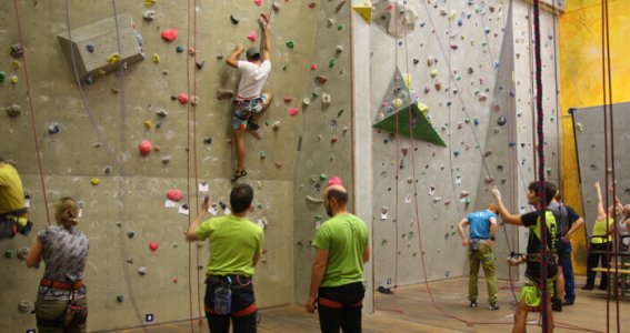 Climbing pur | Erwachsene | Gerresheim