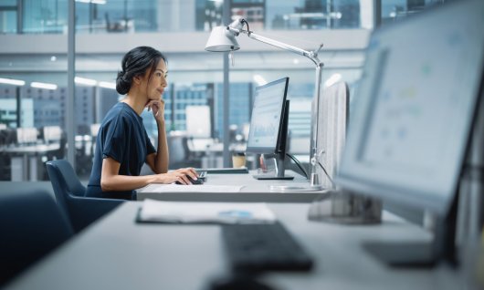 Der "Master" in PowerPoint | Erwachsene | Moosach