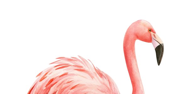 Einzelunterricht: Colorworkshop | 6  - 12 Jahre | Online