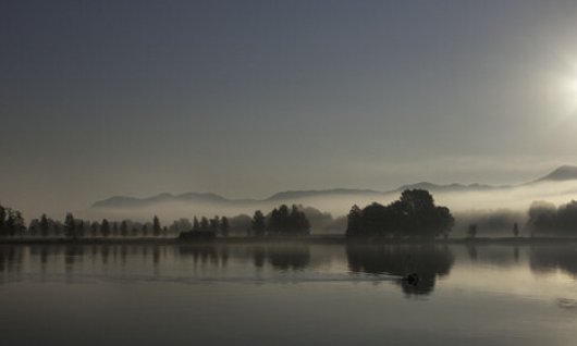 Fotokurs für Anfänger  | Erwachsene | Hochfeld