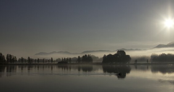 Fotokurs für Anfänger  | Erwachsene | Hochfeld