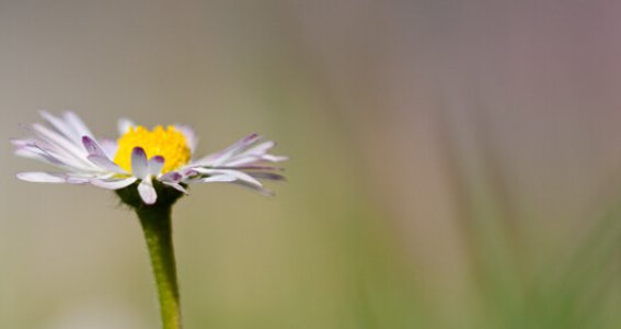 Fotokurs für Anfänger  | Erwachsene | Hochfeld