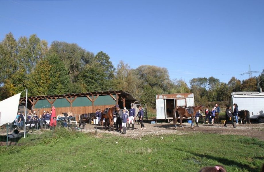 Reiten für Anfänger und Fortgeschrittene | 7  - 17 Jahre | Aubing-Lochhausen-Langwied