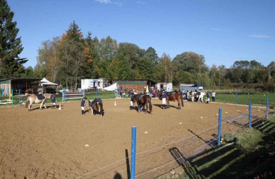 Reiten für Anfänger und Fortgeschrittene | 7  - 17 Jahre | Aubing-Lochhausen-Langwied