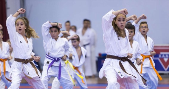 Aikido für Kinder | 6  - 11 Jahre | Augsburg