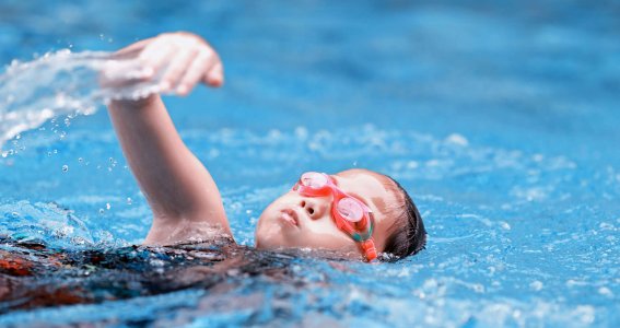 Schwimmkurs: Flipper Club- Kinder | 4  - 12 Jahre | Au-Haidhausen