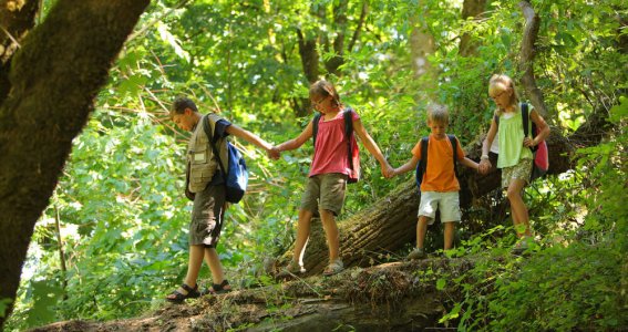 Sommerferienkurs: Camp in der Natur | 6  - 12 Jahre | Köln