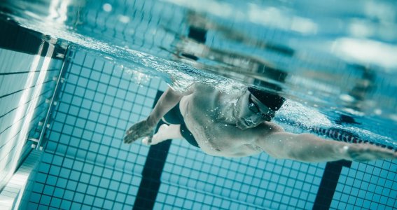 Technikweltmeister Schwimmtraining | Erwachsene | Köln