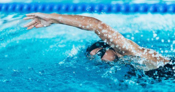 Kraulschwimmen-Kurs für Fortgeschritten | Erwachsene | Au-Haidhausen