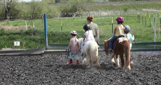 Ponykinder-Tag | 5  - 7 Jahre | Aubing-Lochhausen-Langwied