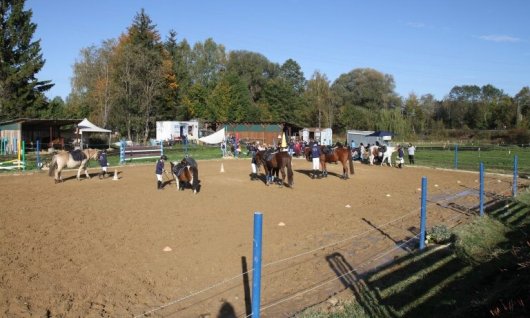 Reitferien: Reiten Anfänger und Fortgeschrittene | 7  - 17 Jahre | Aubing-Lochhausen-Langwied