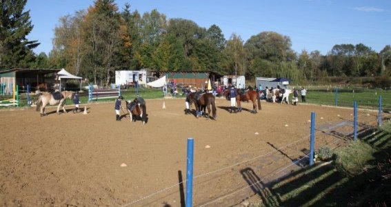 Reitferien: Reiten Anfänger und Fortgeschrittene | 7  - 17 Jahre | Aubing-Lochhausen-Langwied