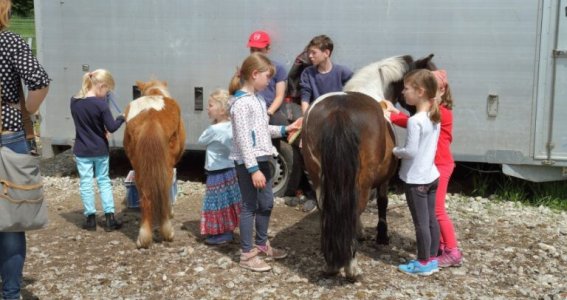 Reitferien: Reiten Anfänger und Fortgeschrittene | 7  - 17 Jahre | Aubing-Lochhausen-Langwied