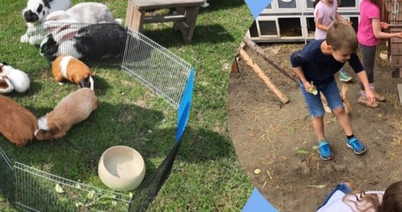 BIKE & FUN on the Farm | 5  - 16 Jahre | Gablingen