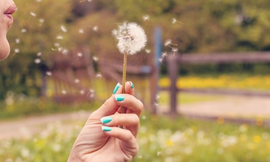 Stressfrei sein durch bewusstes Atmen | 14  - 99 Jahre | Video