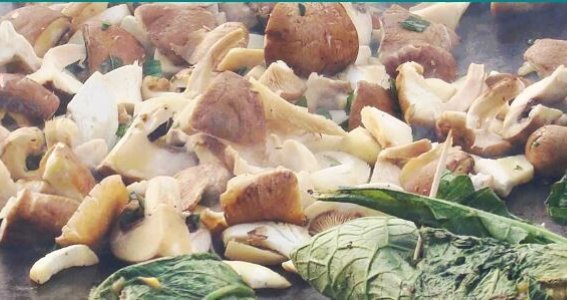 Herbstferienprogramm: Naturköche unterwegs | 6  - 12 Jahre | Oberdollendorf