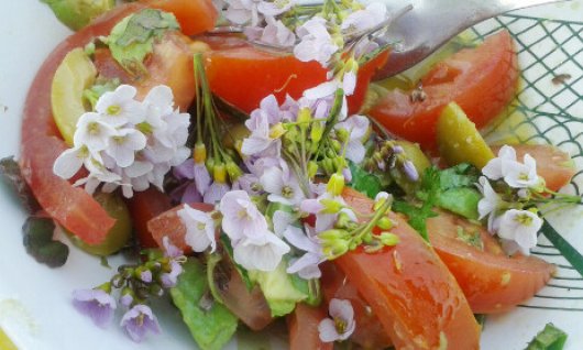 Kostbares und Köstliches | Erwachsene | Oberdollendorf Kostbares und Köstliches | Erwachsene | Oberdollendorf