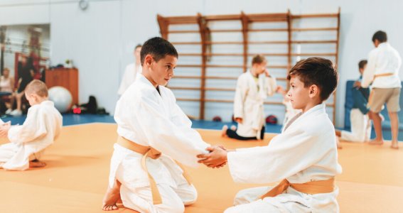 Kampfsport: Grappling & Sambo | 6  - 13 Jahre | Mitte