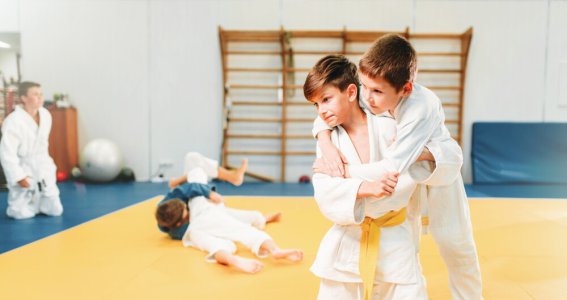 Kampfsport: Grappling & Sambo | 6  - 13 Jahre | Mitte