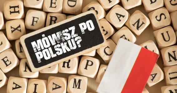 Polnisch Intensivkurse | Erwachsene | Innenstadt
