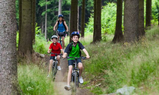 Gaiskopf Bikepark | 8  - 12 Jahre | Bischofsmais Gaiskopf Bikepark | 8  - 12 Jahre | Bischofsmais