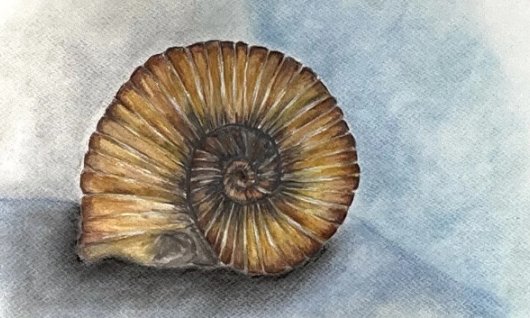 Aquarellmalen für Kinder | 7  - 12 Jahre | Au-Haidhausen