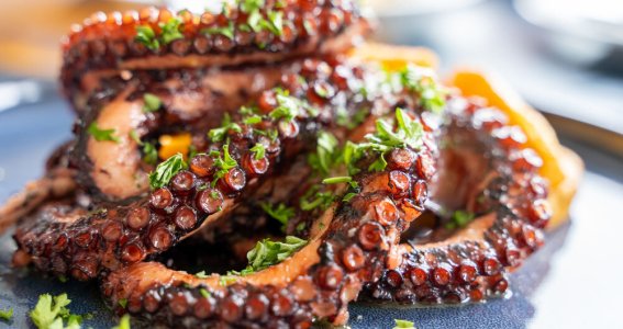 Workshop: Griechisches BBQ | Erwachsene | Oberndorf