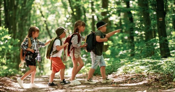 Sommerferien: Die Tiere es Waldes (3. Woche) | 5  - 10 Jahre | Frechen