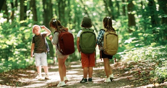 Sommerferien: Die Tiere es Waldes (3. Woche) | 5  - 10 Jahre | Frechen