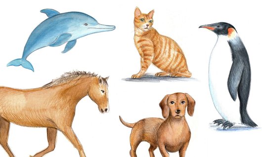 Workshop Kinder mit Eltern:Realistisches Zeichnen | 8  - 99 Jahre | Au-Haidhausen