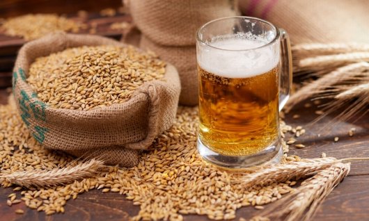 Braukurs: Ein Weißbier, bitte! | Erwachsene | Hadern