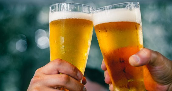 Braukurs: Ein IPA, bitte! | Erwachsene | Hadern