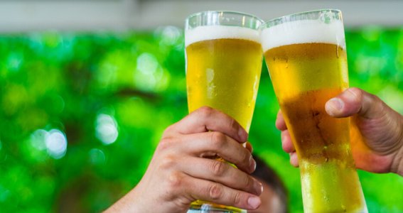 Braukurs: Ein IPA, bitte! | Erwachsene | Hadern