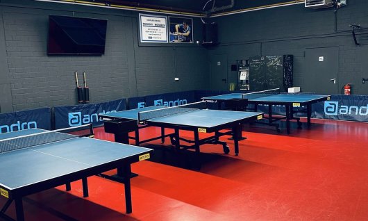 Tischtenniskurs: Wettkampftraining | Erwachsene | Lind