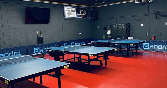 Tischtenniskurs: Wettkampftraining | Erwachsene | Lind
