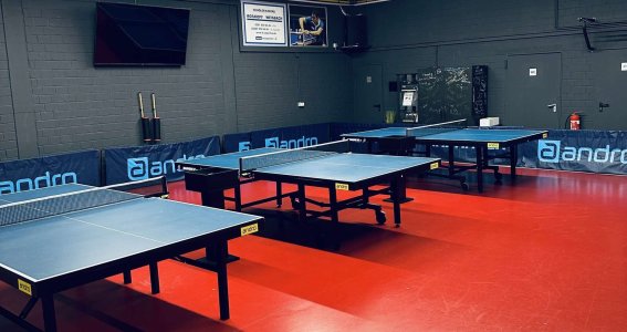 Tischtenniskurs: Techniktraining | Erwachsene | Lind