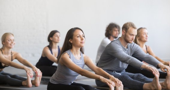 Hatha Yoga mit Solveig | Erwachsene | Friedrichstadt