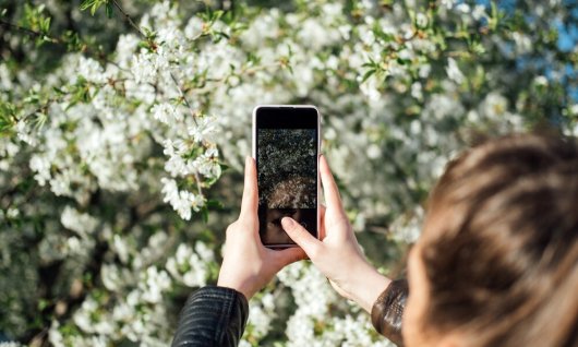 Smartphone Fotografie | Erwachsene | Berlin Smartphone Fotografie | Erwachsene | Berlin