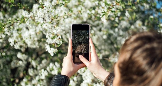 Smartphone Fotografie | Erwachsene | Berlin Smartphone Fotografie | Erwachsene | Berlin